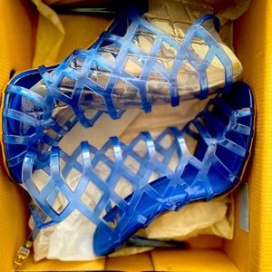 Blue Clear Heels!